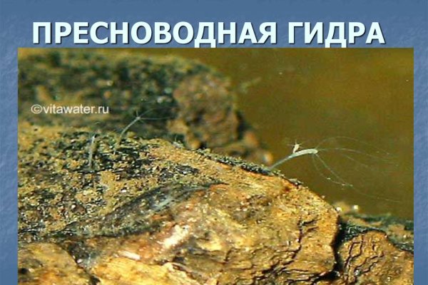 Как пополнить баланс кракен