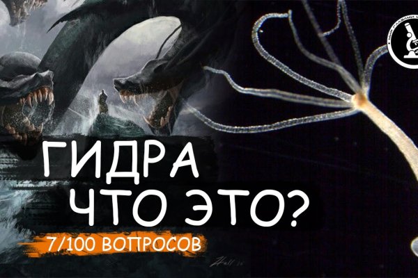 2kr kraken