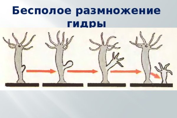 Кракен наркологический