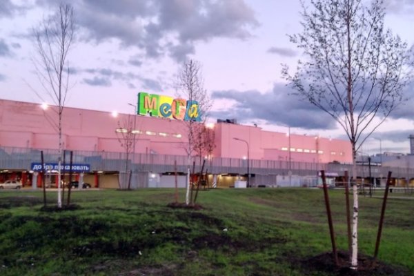 Рабочая ссылка кракен в тор