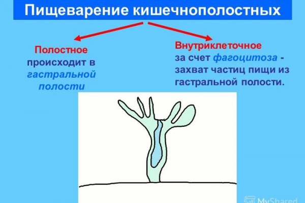 Кракен ссылка маркет