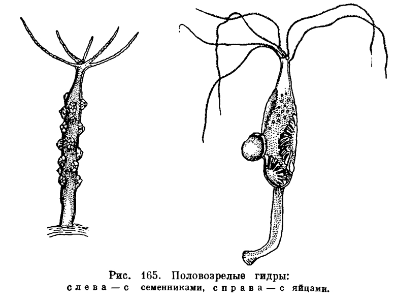 Vk8 at кракен рабочий